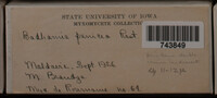 Image Associated With the Occurrence